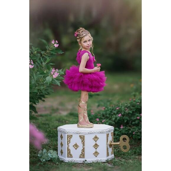 NWT Dollcake Dress Sugar Plum Tutu Leotard Set Girls Sz 7 Pink Floral Applique - Picture 10 of 15